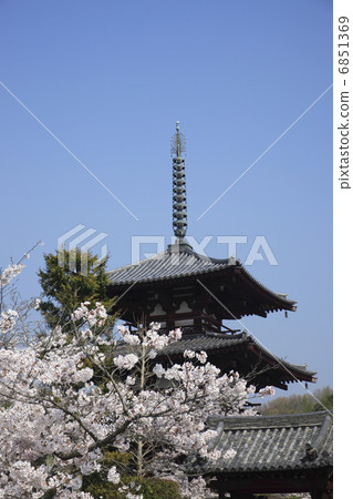 櫻花盛開的Horinji 6851369
