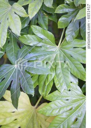 然而離開了 6851417