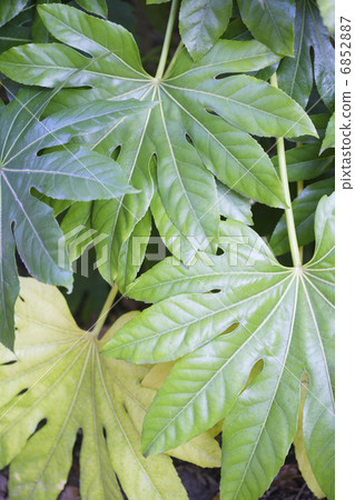 然而離開了 6852887