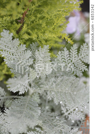 Placing containers 6853142