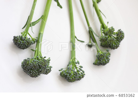 broccoli 6853162