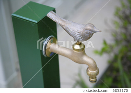 Bird's faucet 6853170