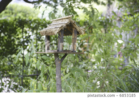 自然花園鳥屋 6853185