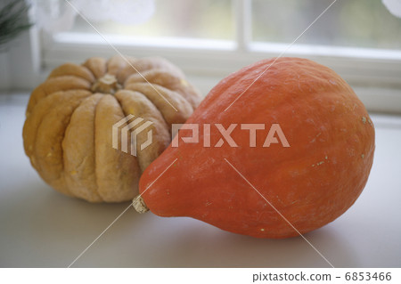 pumpkin 6853466