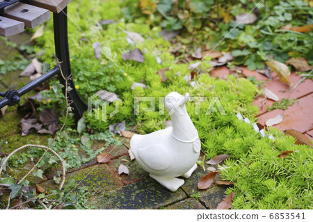 White duck objects White duck objects 6853541