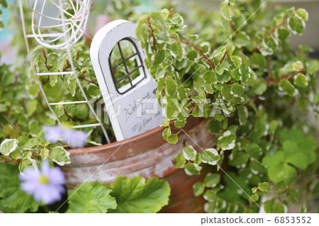 Pumila pot Pumila pot 6853552