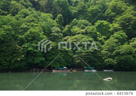 Hozugawa河的新鮮綠色 6853679