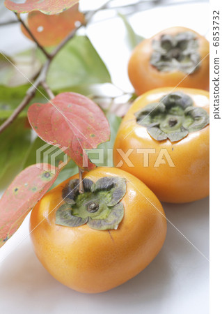 Autumn taste persimmon Autumn taste persimmon 6853732
