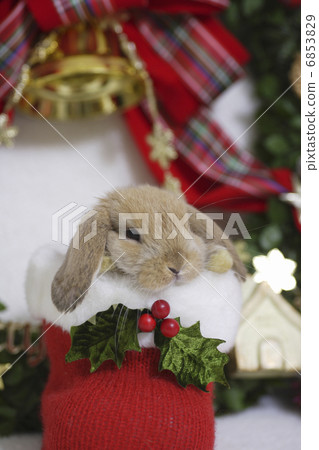 兔子的聖誕節 6853829