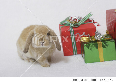 Rabbit's Christmas Rabbit's Christmas 6854469