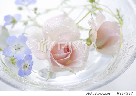 Roses and nemophila decorated in glass vessels 6854557