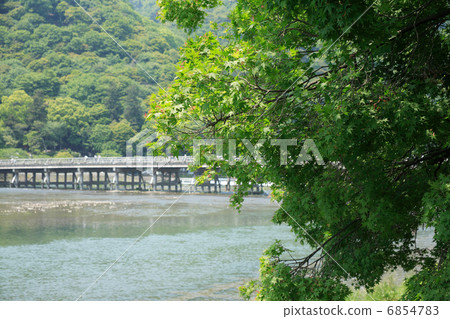 新鮮的綠色嵐山 6854783