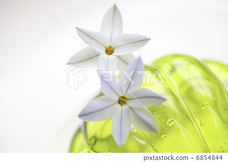綠色玻璃和春天紫色花Hananyla 綠色玻璃和春天紫色花Hananyla 6854844