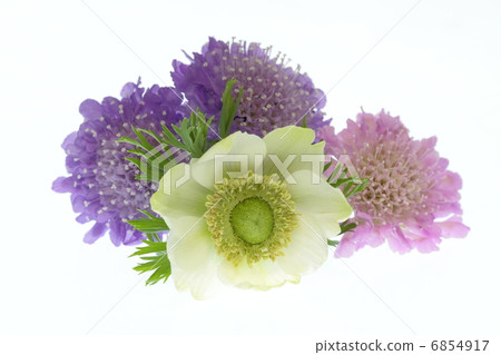 Bouquet of white anemone and pine needle grass Bouquet of white anemone and pine needle grass 6854917