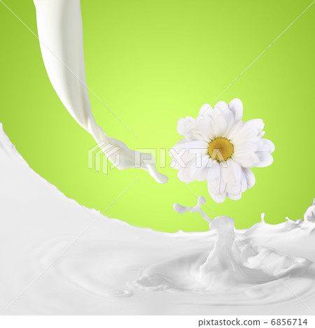 Image of milk splashes 6856714