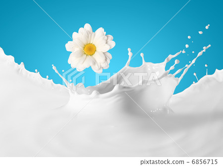 Image of milk splashes Image of milk splashes 6856715