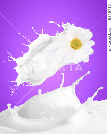 Image of milk splashes 6856716