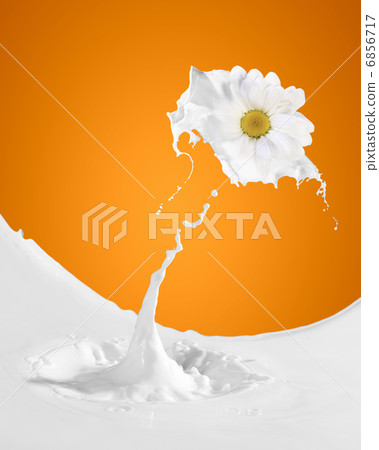 Image of milk splashes Image of milk splashes 6856717