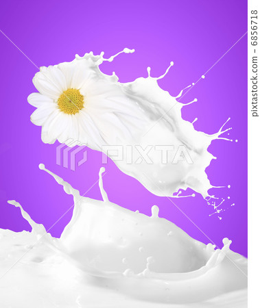 Image of milk splashes Image of milk splashes 6856718