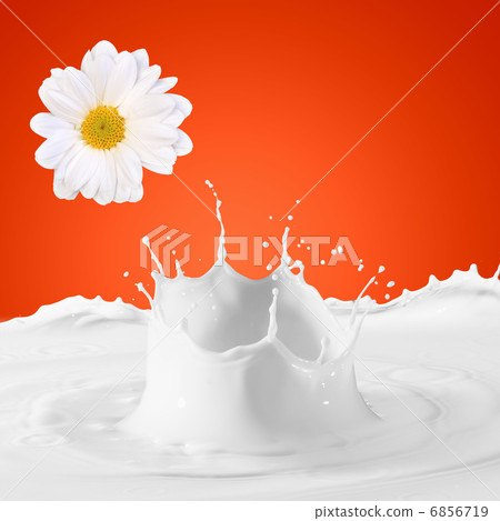 Image of milk splashes Image of milk splashes 6856719