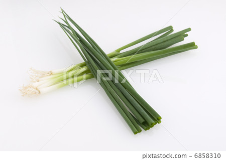 Green onion 6858310