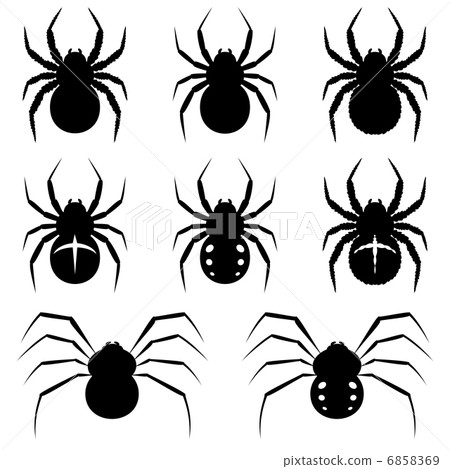 Spiders 6858369