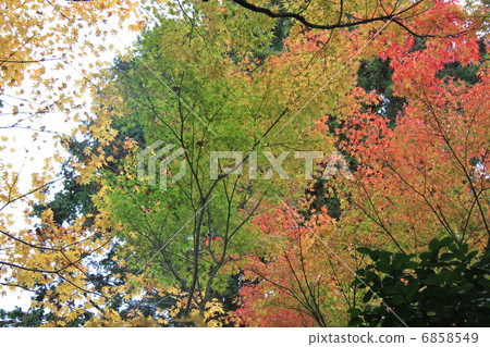 日元訪問 日元訪問 6858549