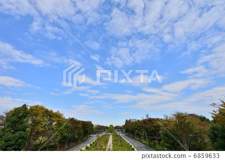 Road autumnal weather Tokyo 6859633
