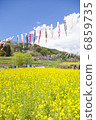 Carp streamers and rape blossoms 6859735