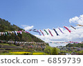 Carp streamers and rape blossoms 6859739