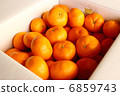 Mandarin oranges full of cardboard 6859743