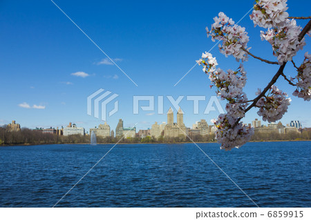 Spring's New York Central Park 6859915