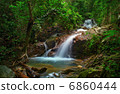 Creek in tropical forest. Beautiful landscape with trees, mossy stones and green plants 6860444