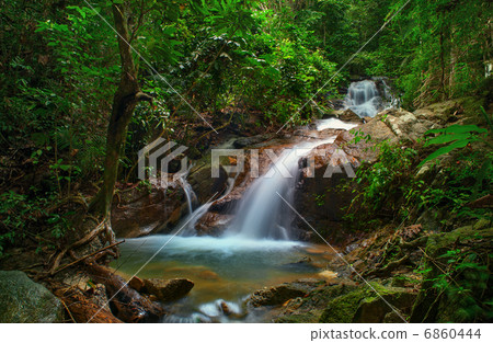 Creek in tropical forest. Beautiful landscape with trees, mossy stones and green plants Creek in tropical forest. Beautiful landscape with trees, mossy stones and green plants 6860444