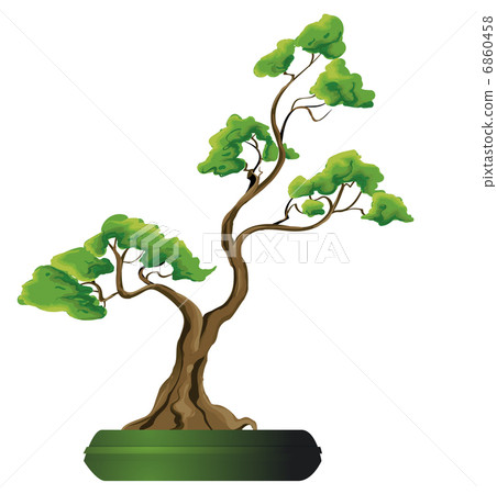 Bonsai tree vector illustration - Stock Illustration [6860458] - PIXTA
