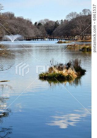 井之頭公園(2013.2) 井之頭公園(2013.2) 6861537