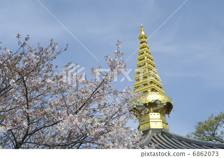Sakura Bokuin Ichinoseji Sakura Bokuin Ichinoseji 6862073