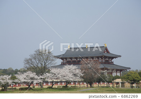 櫻花Heijo Kyo Daigaku神社 6862269