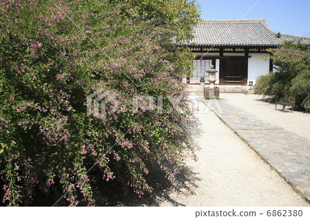 Hagi of New Yakushiji 6862380