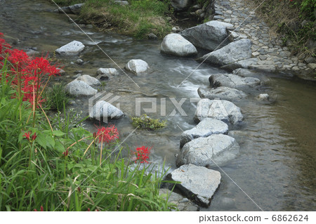 Asuka stepping stone 6862624