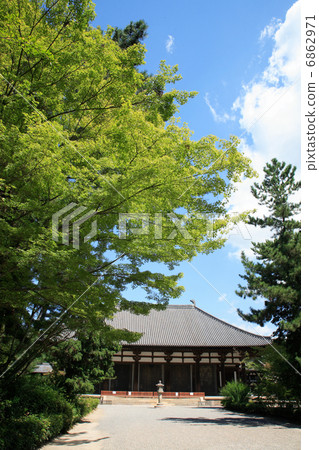 Maple and Toshodaiji temple Kondo 6862971