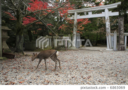 Orientake山八幡宮 Orientake山八幡宮 6863069