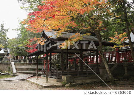 Orientake山八幡宮 6863668