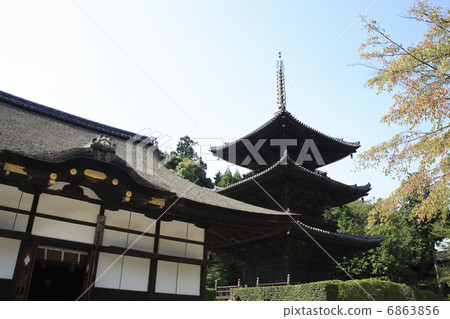 Mitsuji-ji三塔 Mitsuji-ji三塔 6863856