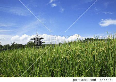 國家和jogakuji 6863858