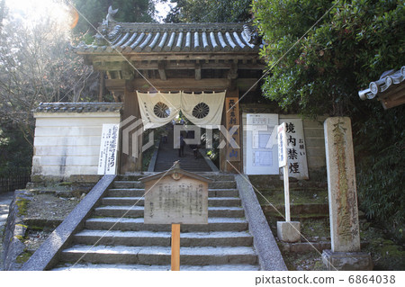 Matsuoji Matsuoji 6864038