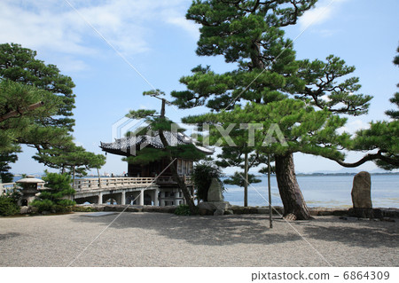 Oimatsu和Shikudo 6864309