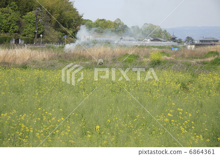 春天Ibaraki-no-Sato 6864361
