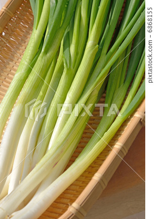 Wakegi Wakegi 6868155