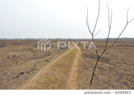 Watarase Yoshi燒烤後 6869965